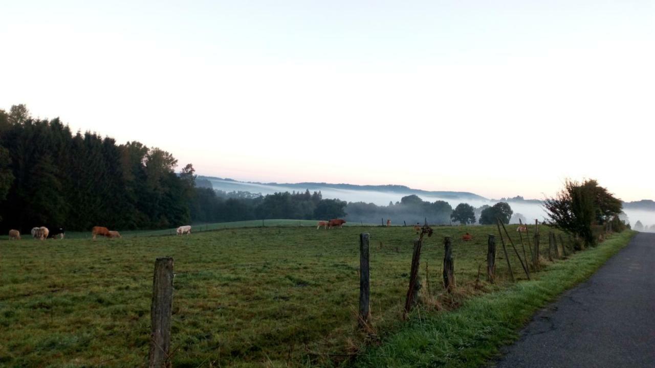 La Croisee Des Champs, Gite Entre Durbuy Et La Roche En Ardenne Erezee Luaran gambar